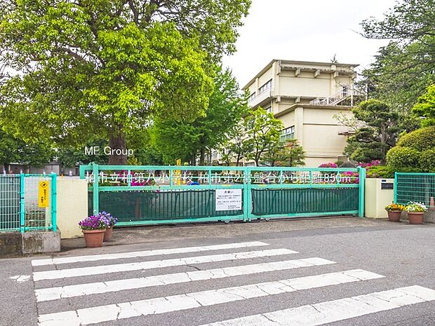 小学校 850m 柏市立柏第八小学校