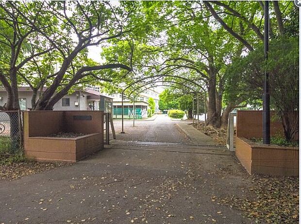 小学校 850m 柏市立藤心小学校