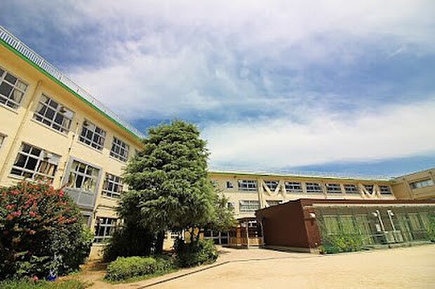 小学校 500m 船橋市立中野木小学校