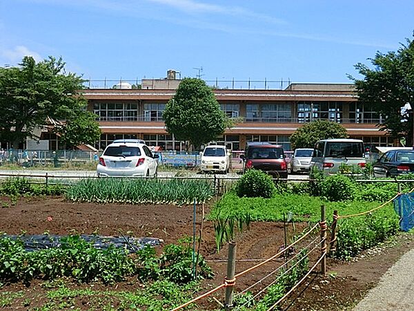 幼稚園・保育園 500m 南初富保育園