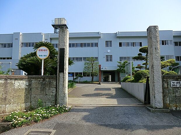 小学校 515m 市原市立姉崎小学校