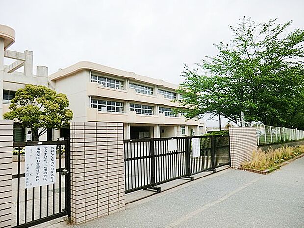 小学校 890m 千葉市立大椎小学校