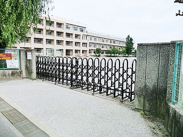小学校 486m 市川市立鶴指小学校