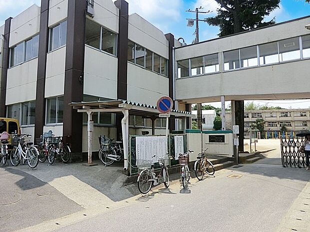 小学校 500m 松戸市立小金小学校