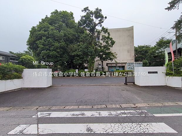 小学校 240m 佐倉市立佐倉小学校