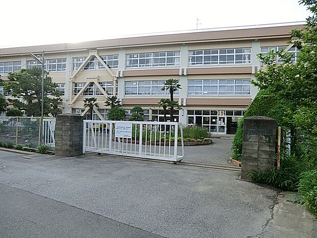 小学校 980m 柏市立柏第七小学校
