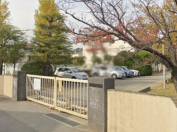 中学校 1500m 柏市立柏第三中学校