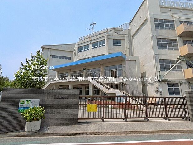 小学校 810m 市川市立幸小学校