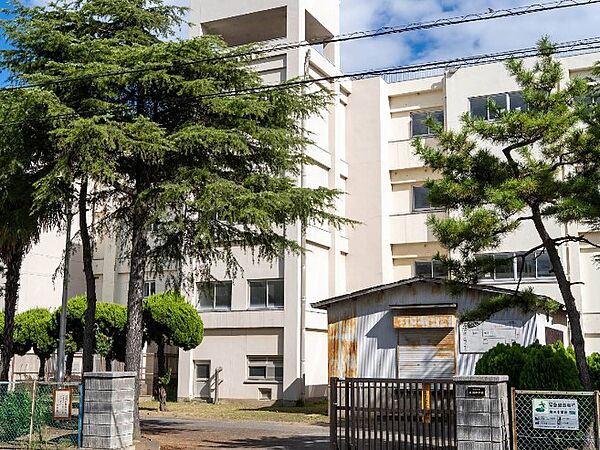 中学校 1200m 千葉市立高洲中学校