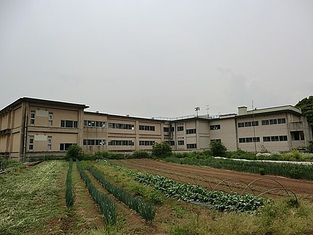 中学校 1600m 流山市立東部中学校