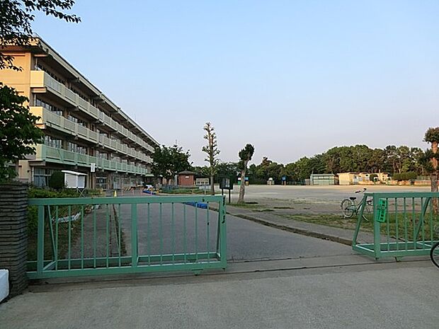 小学校 1500m 柏市立逆井小学校