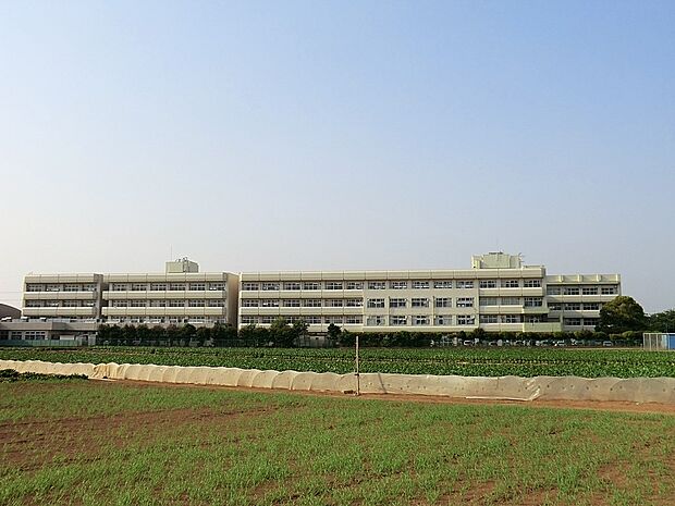 中学校 1920m 船橋市立八木が谷中学校