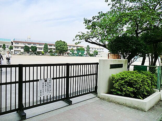 中学校 1000m 市川市立第二中学校