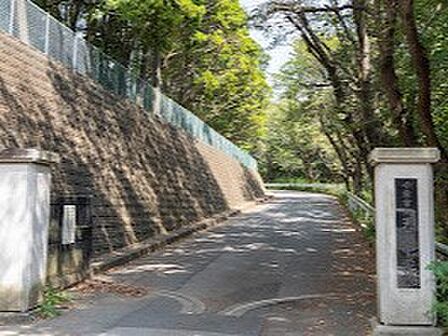 中学校 2100m 千葉市立天戸中学校