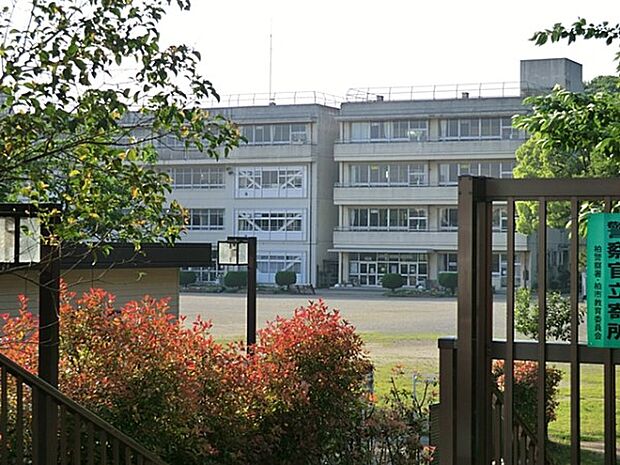小学校 197m 柏市立酒井根西小学校