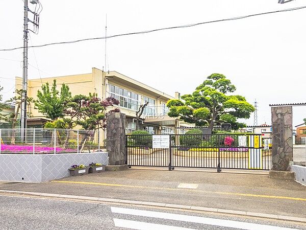 小学校 900m 柏市立柏第二小学校