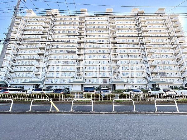 溢れる陽光でご家族の笑顔も輝く