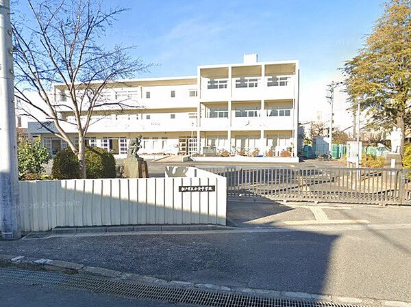 中学校 550m 松戸市立小金中学校