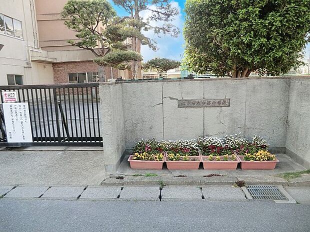 小学校 755m 松戸市立中部小学校