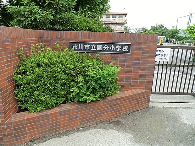 小学校 788m 市川市立国分小学校