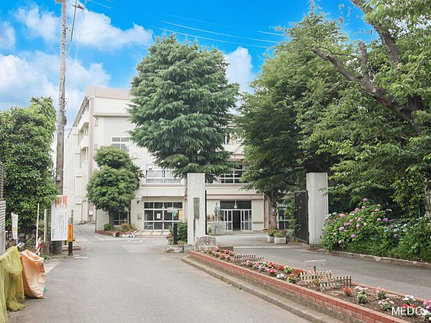 小学校 450m 船橋市立葛飾小学校