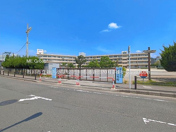 小学校 500m 市川市立新浜小学校