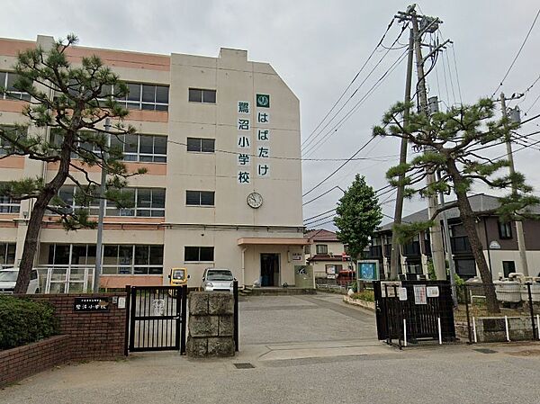 小学校 480m 習志野市立鷺沼小学校