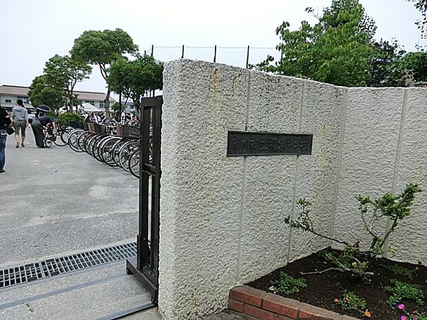 中学校 1700m 市川市立福栄中学校