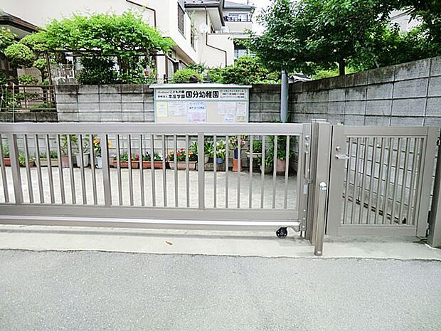 幼稚園・保育園 607m 国分幼稚園