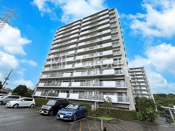 溢れる陽光でご家族の笑顔も輝く
