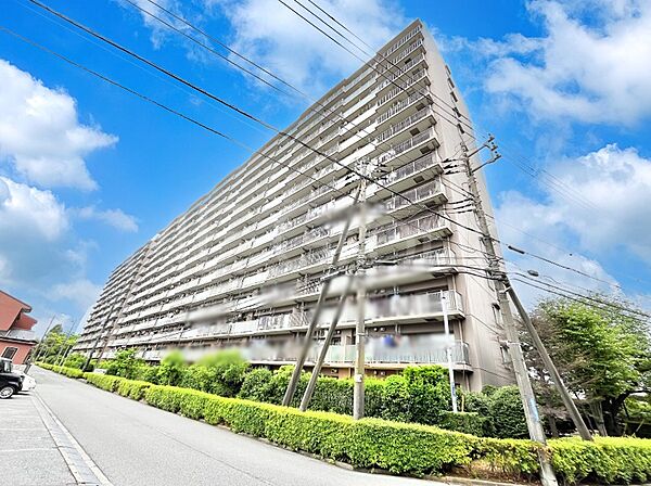 外観：312001223494