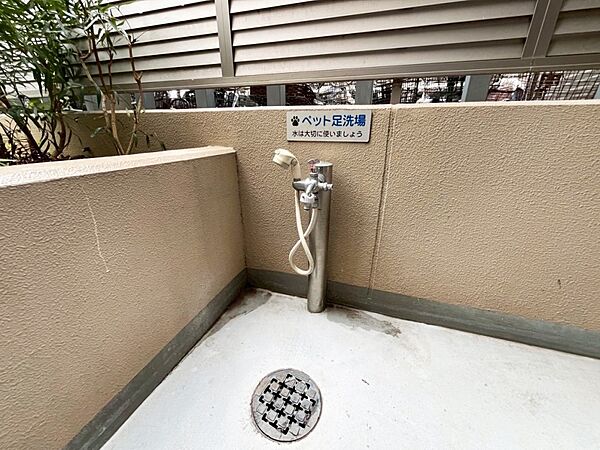 ペット足洗場も完備しています。