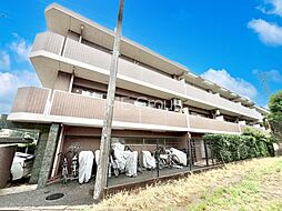 レグザ稲毛