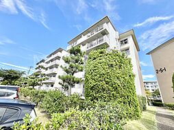 高洲2丁目団地