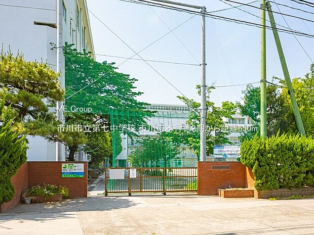 中学校 650m 市川市立第七中学校