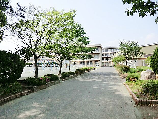 小学校 560m 千葉市立さつきが丘西小学校