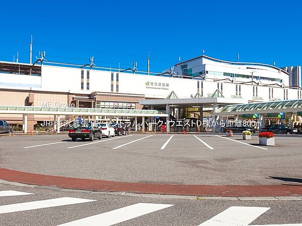 駅 800m JR「海浜幕張」駅