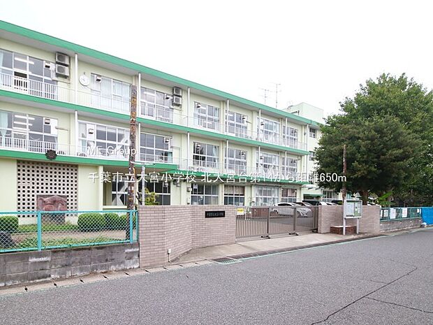 小学校 650m 千葉市立大宮小学校