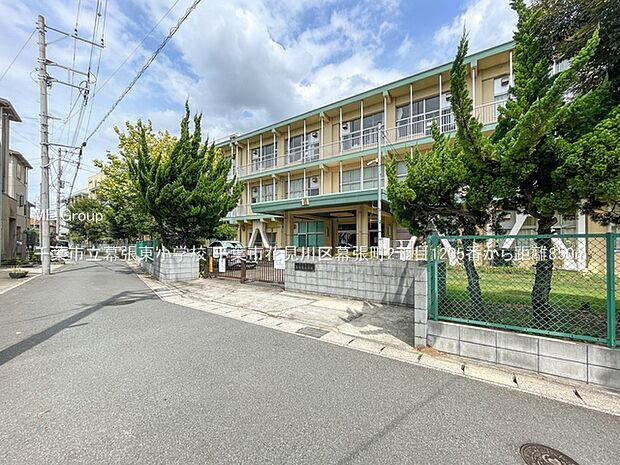 小学校 850m 千葉市立幕張東小学校