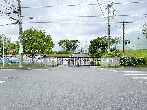 小学校 320m 千葉市立有吉小学校
