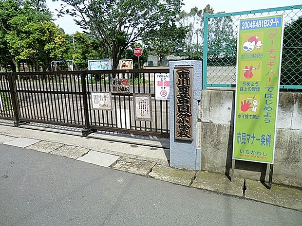 小学校 1180m 市川市立中国分小学校