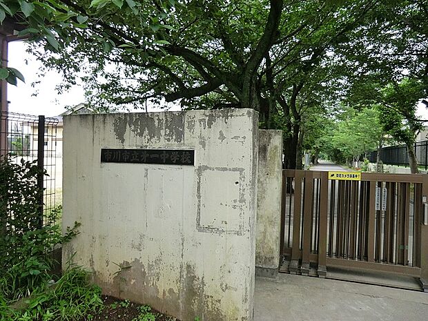 中学校 1750m 市川市立第一中学校