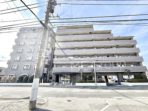 溢れる陽光でご家族の笑顔も輝く