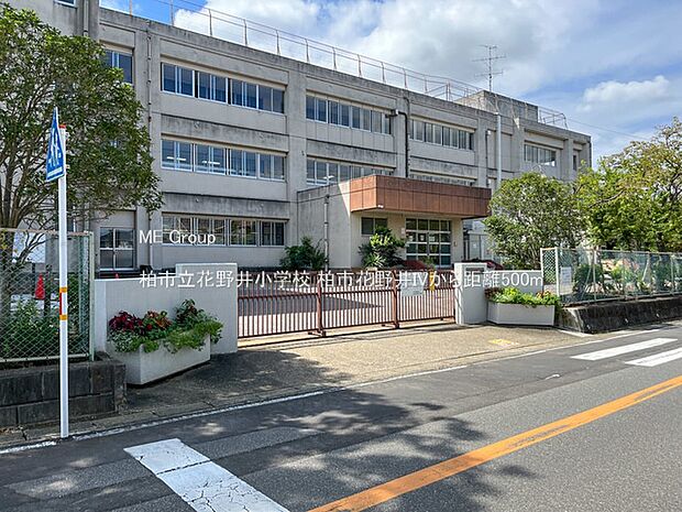 小学校 500m 柏市立花野井小学校