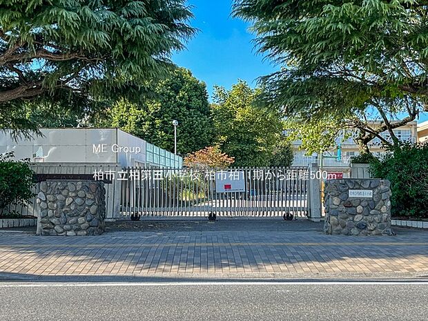 小学校 500m 柏市立柏第五小学校