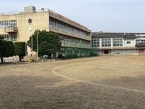 中学校 1239m 野田市立南部中学校