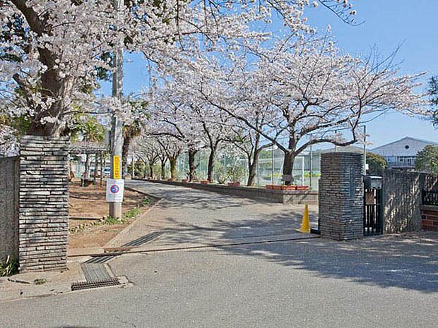 中学校 280m 千葉市立葛城中学校