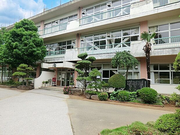 小学校 520m 野田市立柳沢小学校