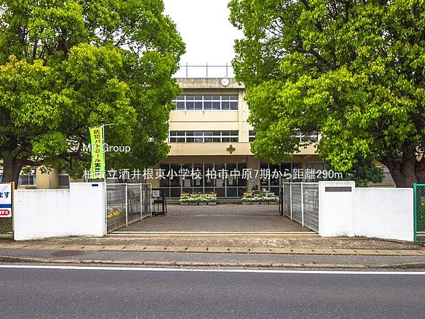 小学校 290m 柏市立酒井根東小学校
