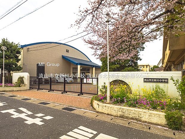 小学校 500m 流山市立新川小学校